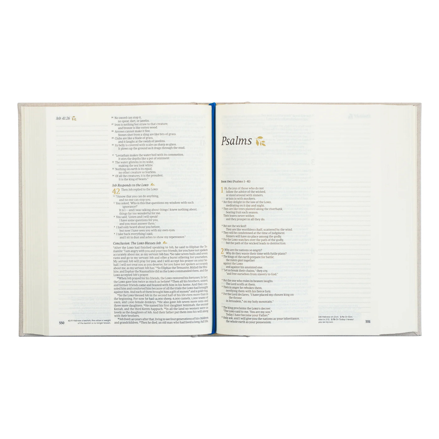 NLT Notetaking Bible: Adelaide Theme-402 MISC GIFTS-Hosanna Revival-Adelyn Elaine's Boutique, Women's Clothing Boutique in Gilmer, TX