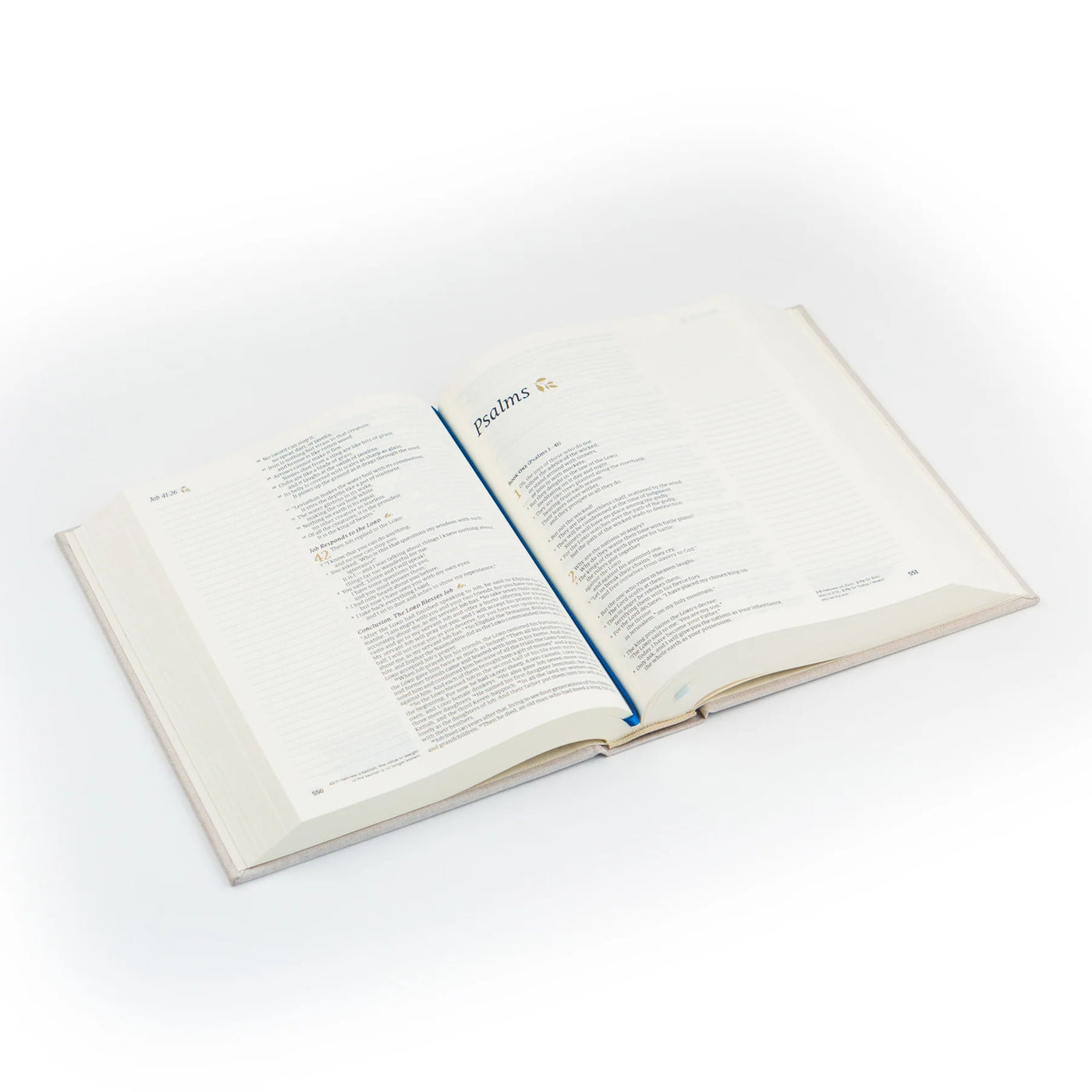 NLT Notetaking Bible: Adelaide Theme-402 MISC GIFTS-Hosanna Revival-Adelyn Elaine's Boutique, Women's Clothing Boutique in Gilmer, TX