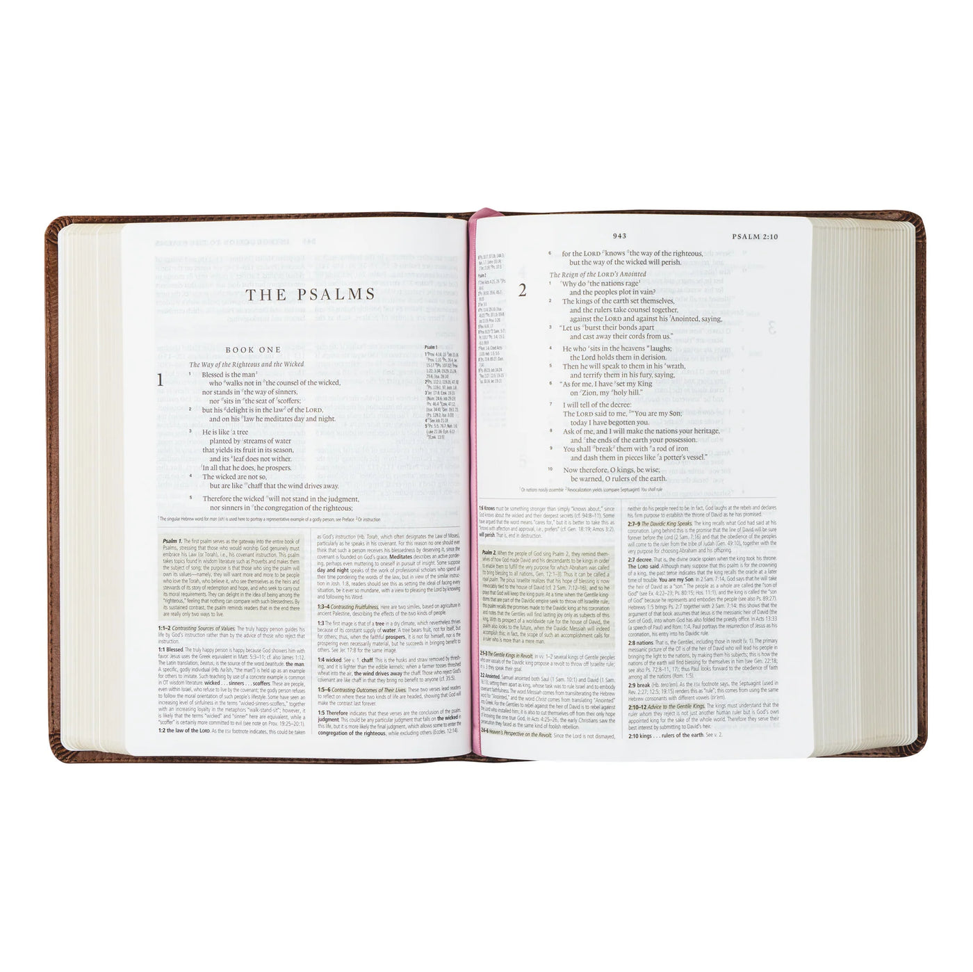 ESV Study Bible: Aurora Theme-402 MISC GIFTS-Hosanna Revival-Adelyn Elaine's Boutique, Women's Clothing Boutique in Gilmer, TX