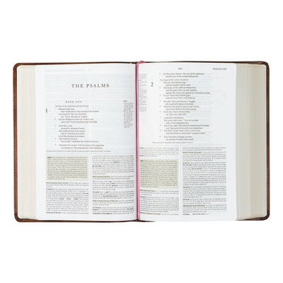 ESV Study Bible: Aurora Theme-402 MISC GIFTS-Hosanna Revival-Adelyn Elaine's Boutique, Women's Clothing Boutique in Gilmer, TX