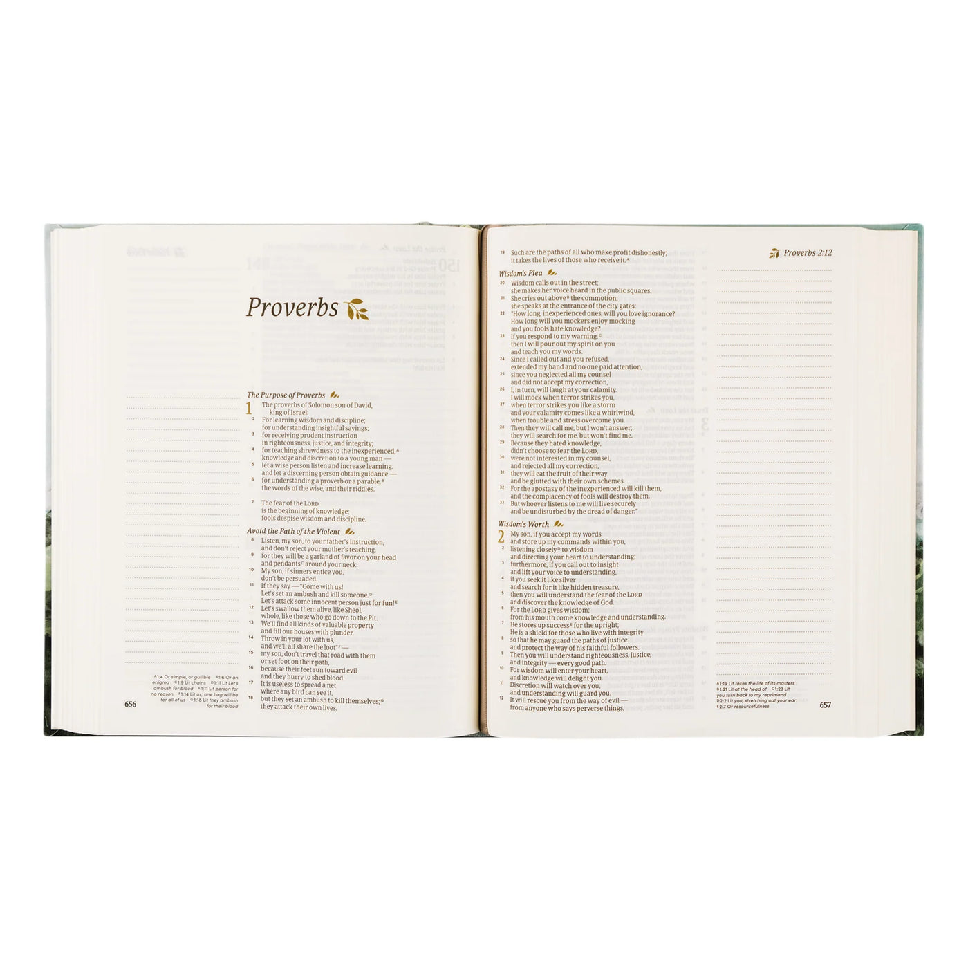 CSB Notetaking Bible: Dublin Theme-402 MISC GIFTS-Hosanna Revival-Adelyn Elaine's Boutique, Women's Clothing Boutique in Gilmer, TX