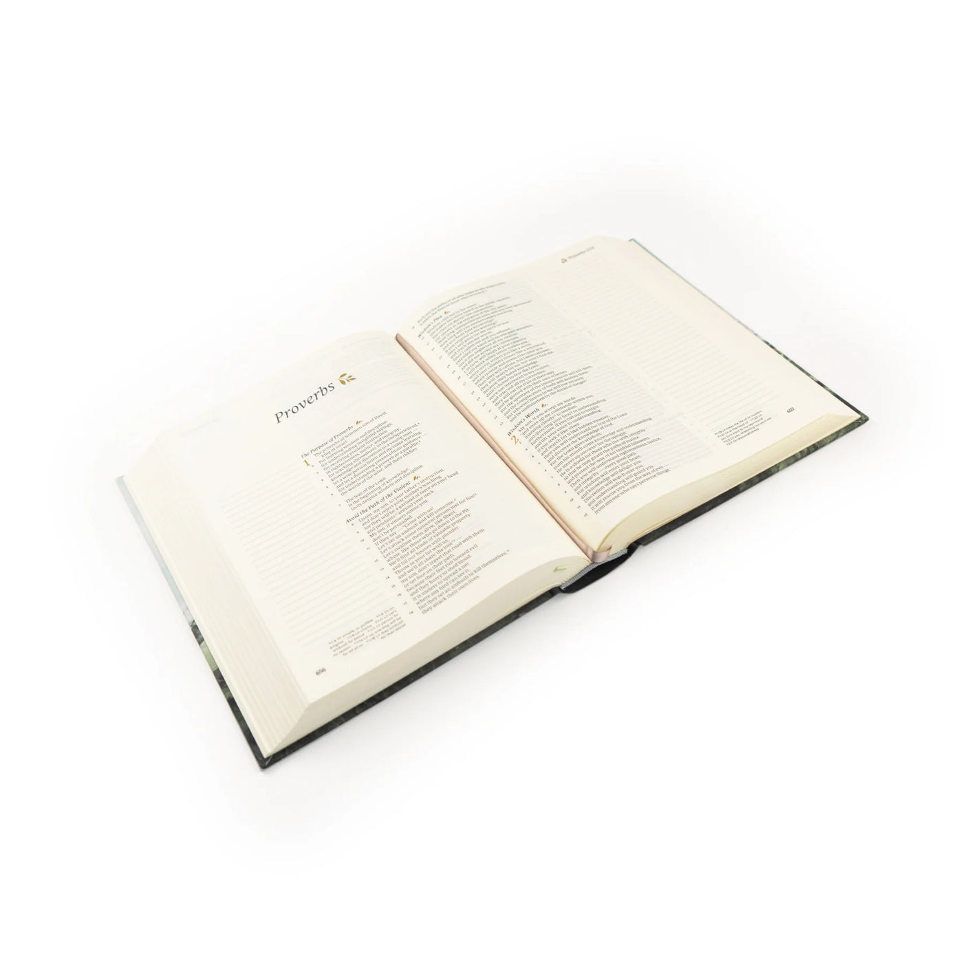 CSB Notetaking Bible: Dublin Theme-402 MISC GIFTS-Hosanna Revival-Adelyn Elaine's Boutique, Women's Clothing Boutique in Gilmer, TX