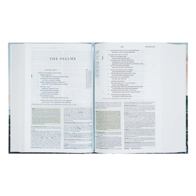ESV Study Bible: Iceland Theme-402 MISC GIFTS-Hosanna Revival-Adelyn Elaine's Boutique, Women's Clothing Boutique in Gilmer, TX