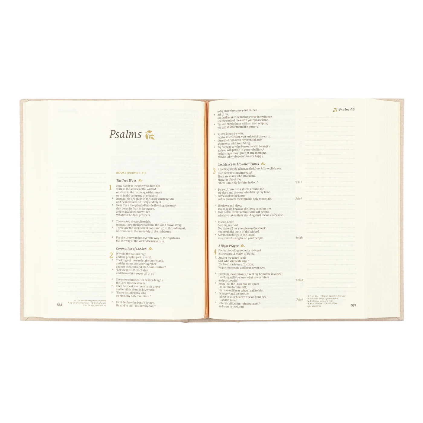 CSB Notetaking Bible: Oxford Theme-402 MISC GIFTS-Hosanna Revival-Adelyn Elaine's Boutique, Women's Clothing Boutique in Gilmer, TX