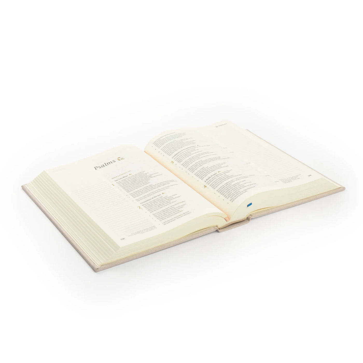 CSB Notetaking Bible: Oxford Theme-402 MISC GIFTS-Hosanna Revival-Adelyn Elaine's Boutique, Women's Clothing Boutique in Gilmer, TX