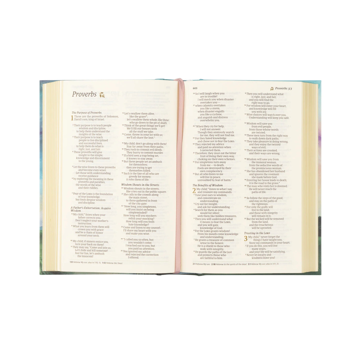 NLT Compact Bible: Prairie Theme-402 MISC GIFTS-Hosanna Revival-Adelyn Elaine's Boutique, Women's Clothing Boutique in Gilmer, TX