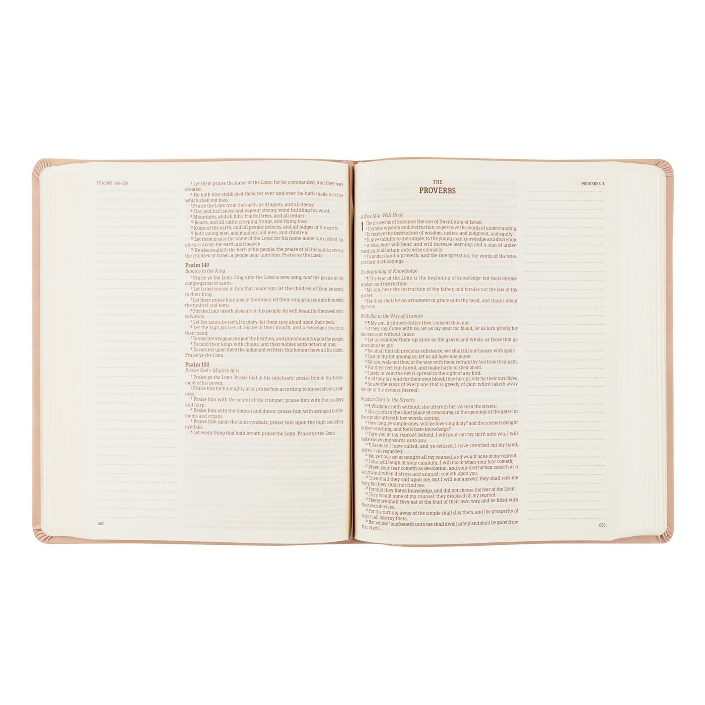KJV Large Print Notetaking Bible: Shiloh Theme-402 MISC GIFTS-Hosanna Revival-Adelyn Elaine's Boutique, Women's Clothing Boutique in Gilmer, TX