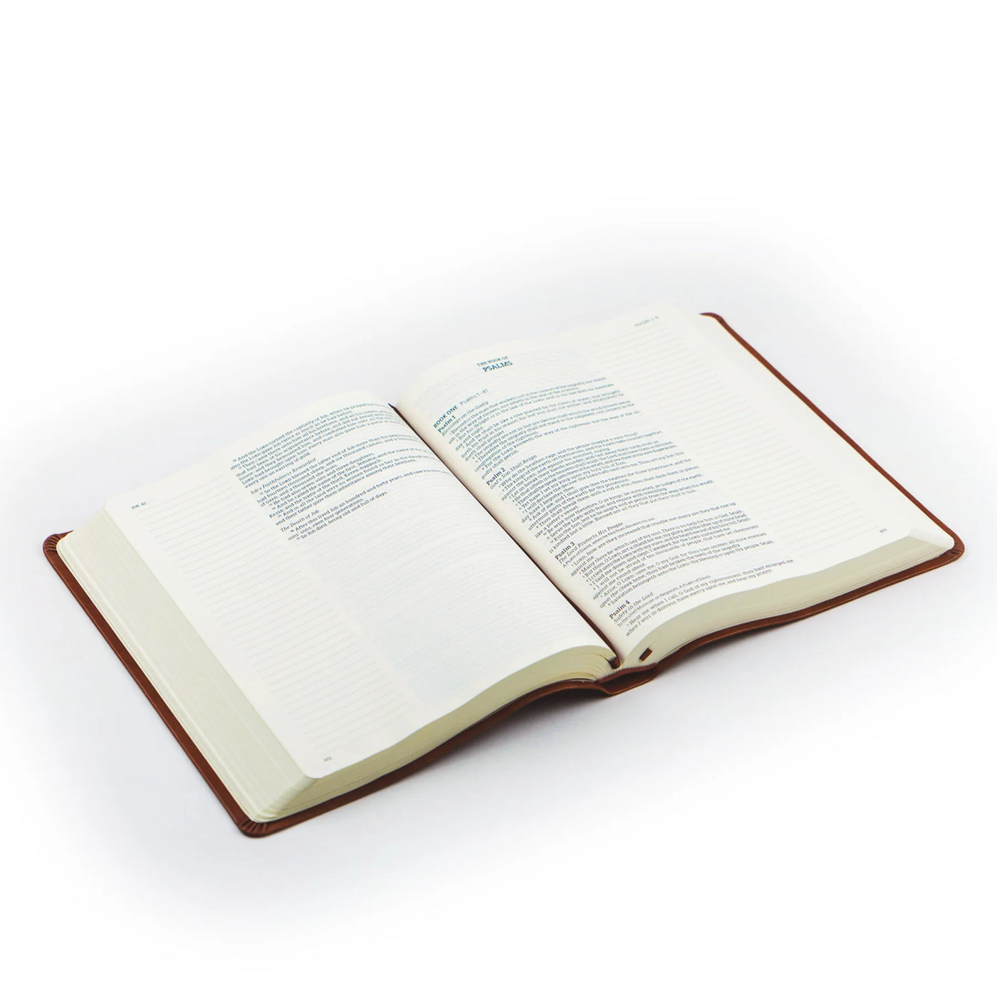 KJV Large Print Notetaking Bible: Vienna Theme-402 MISC GIFTS-Hosanna Revival-Adelyn Elaine's Boutique, Women's Clothing Boutique in Gilmer, TX