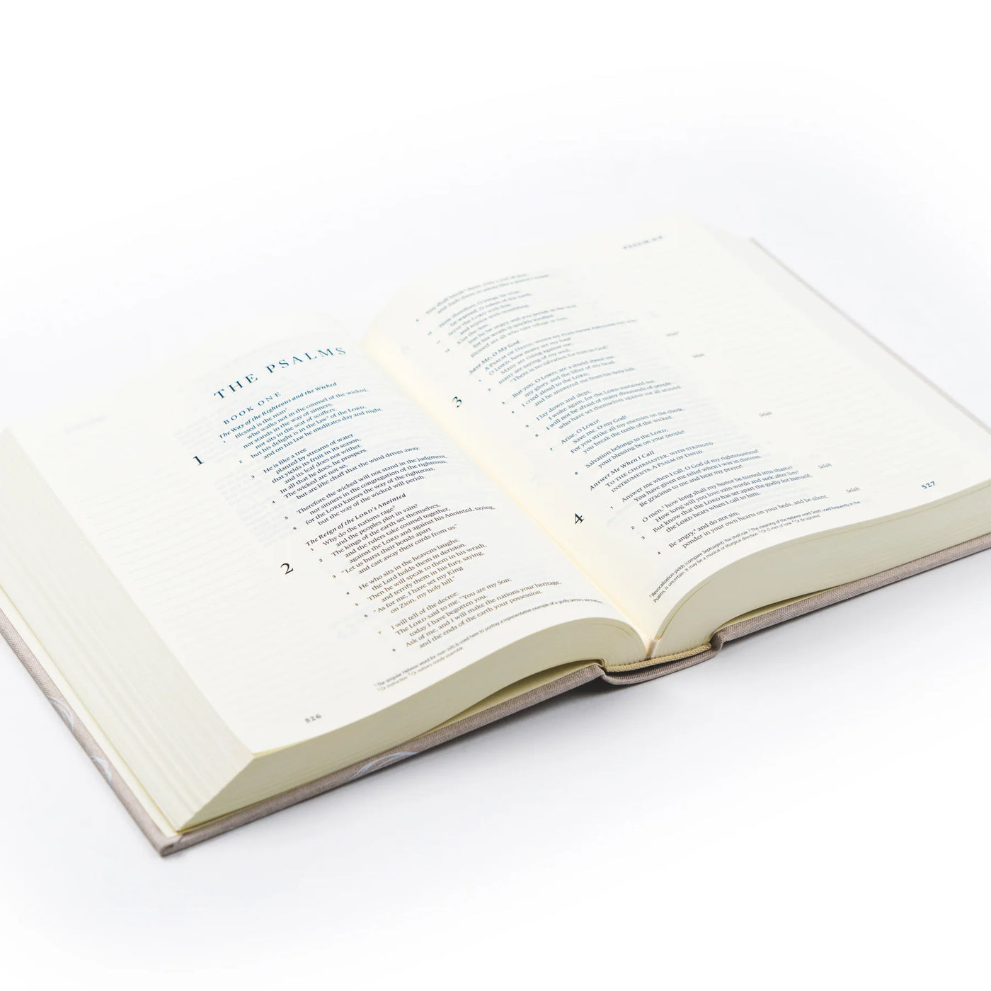 ESV Journaling Bible : Cordova Theme-402 MISC GIFTS-Hosanna Revival-Adelyn Elaine's Boutique, Women's Clothing Boutique in Gilmer, TX