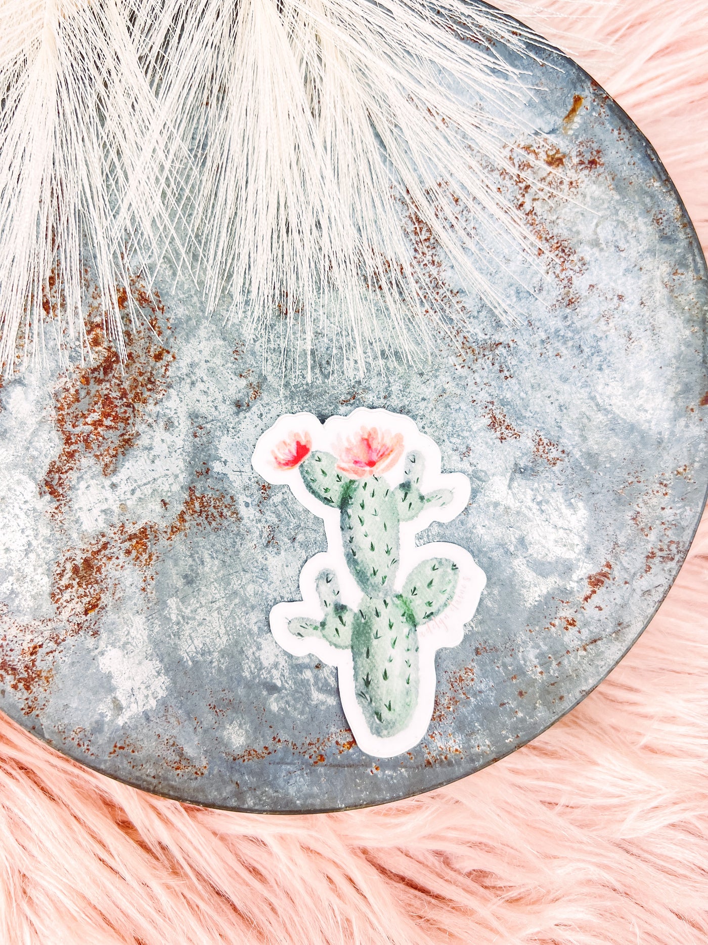 Ramblin' Cactus - Sticker-402 MISC GIFTS-Adelyn Elaine's-Adelyn Elaine's Boutique, Women's Clothing Boutique in Gilmer, TX