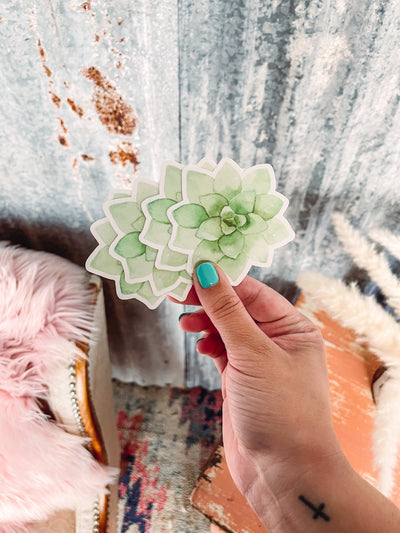 Succulent - Sticker-402 MISC GIFTS-Adelyn Elaine's-Adelyn Elaine's Boutique, Women's Clothing Boutique in Gilmer, TX