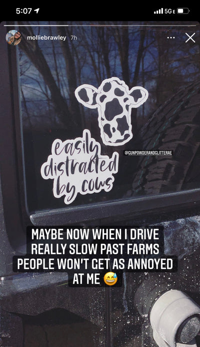 Easily Distracted By Cows - Sticker-402 MISC GIFTS-Adelyn Elaine's-Adelyn Elaine's Boutique, Women's Clothing Boutique in Gilmer, TX