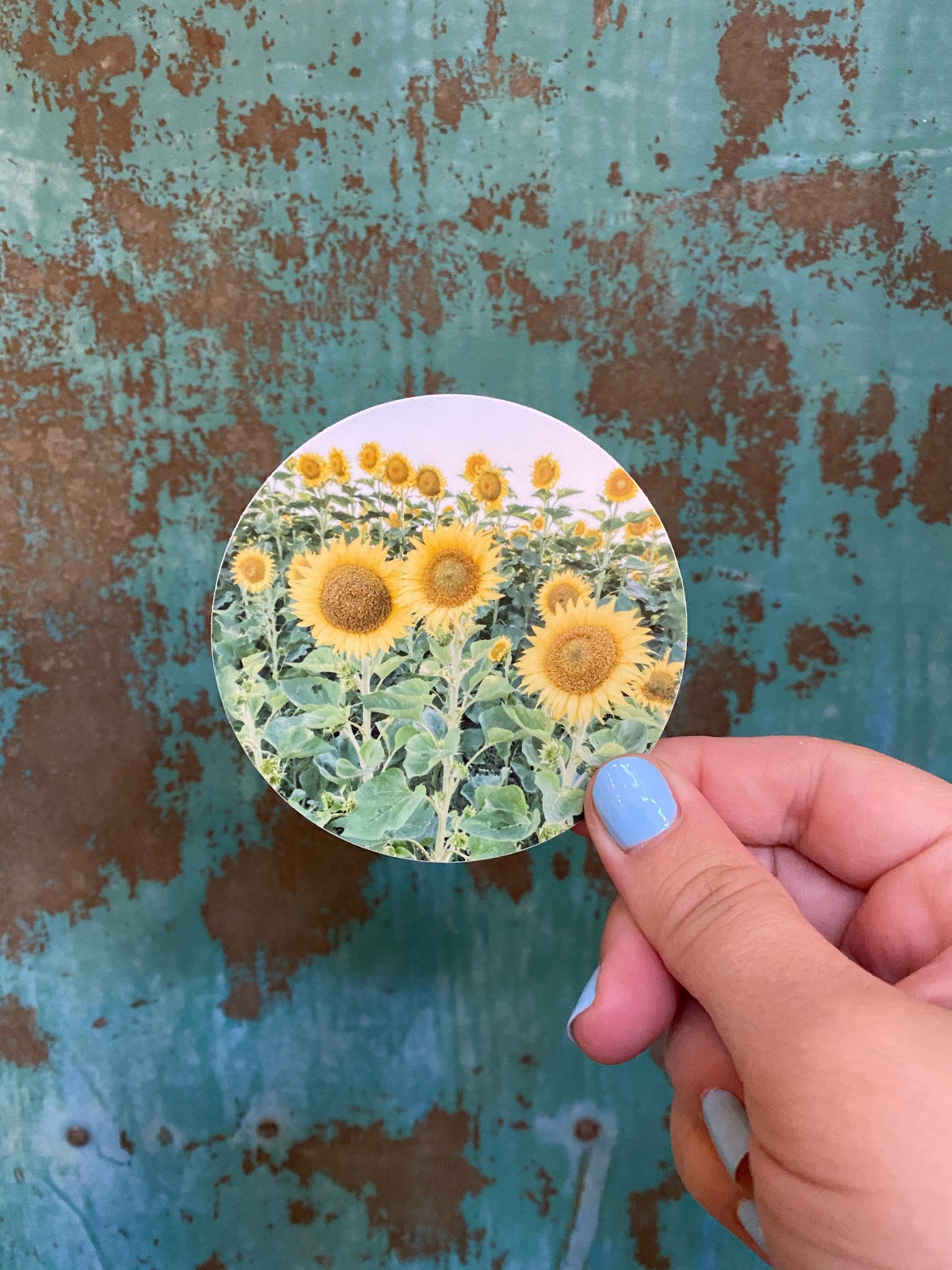 Sunflower Field - Sticker-402 MISC GIFTS-Adelyn Elaine's-Adelyn Elaine's Boutique, Women's Clothing Boutique in Gilmer, TX