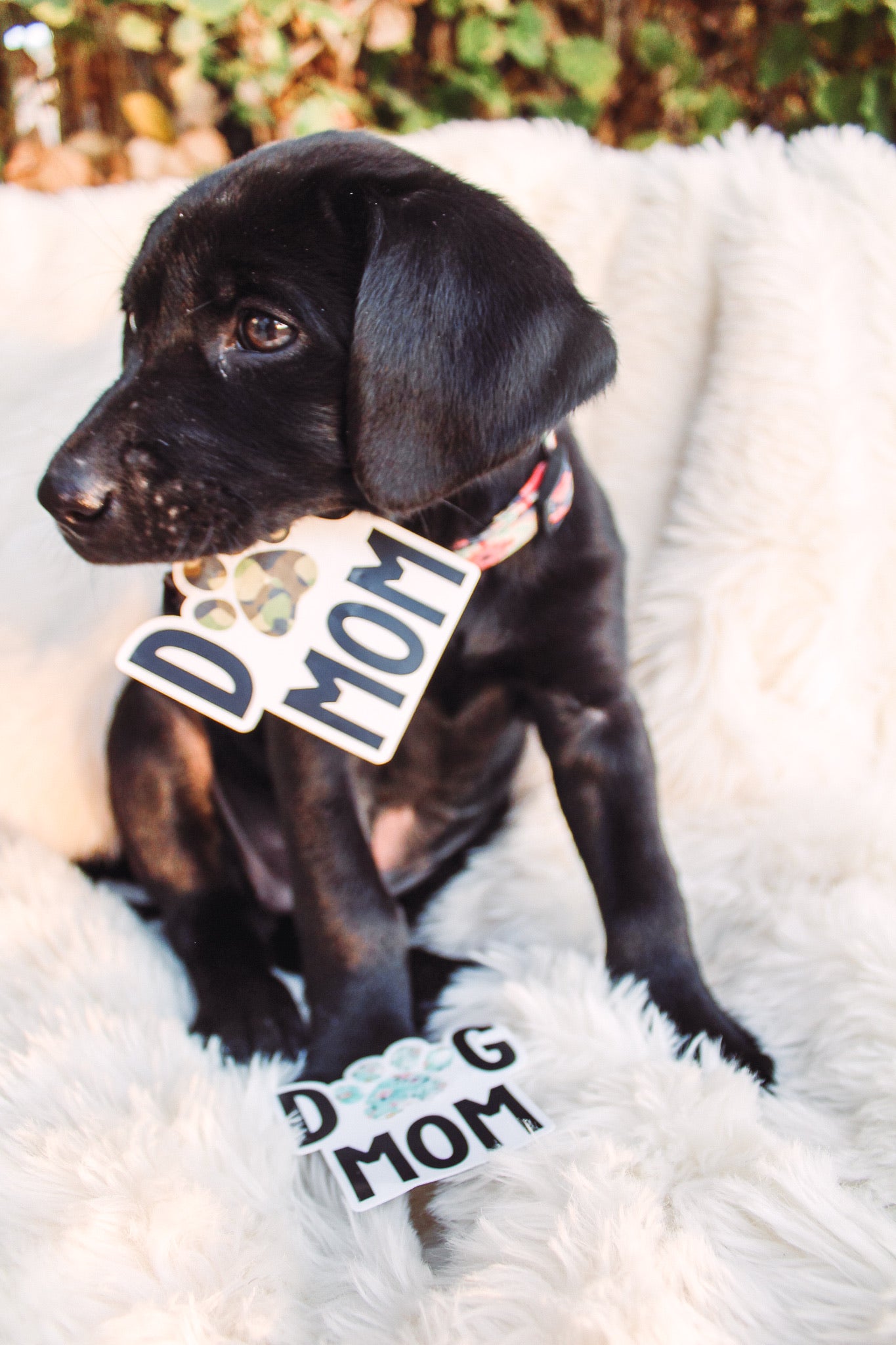 Dog Mom - Sticker-402 MISC GIFTS-Adelyn Elaine's-Adelyn Elaine's Boutique, Women's Clothing Boutique in Gilmer, TX