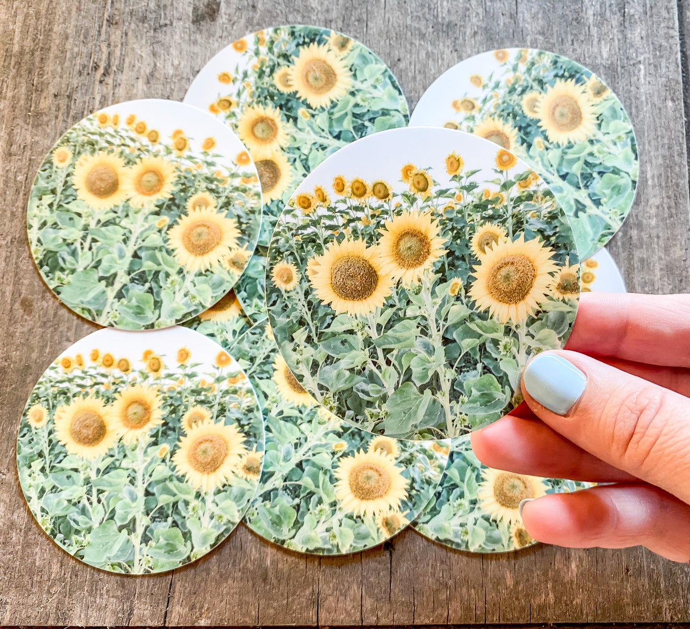 Sunflower Field - Sticker-402 MISC GIFTS-Adelyn Elaine's-Adelyn Elaine's Boutique, Women's Clothing Boutique in Gilmer, TX