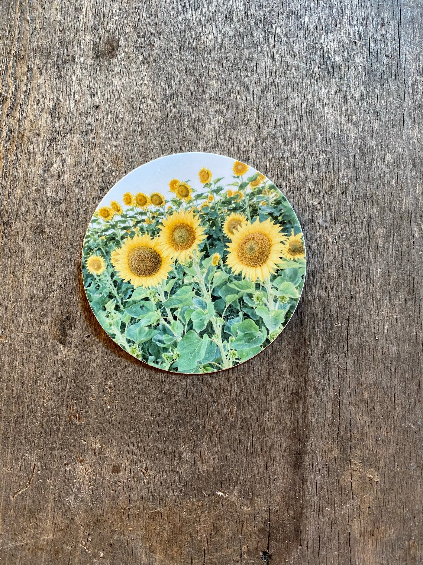 Sunflower Field - Sticker-402 MISC GIFTS-Adelyn Elaine's-Adelyn Elaine's Boutique, Women's Clothing Boutique in Gilmer, TX